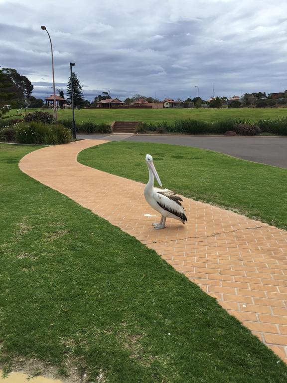 Foreshore Motor Inn Whyalla Exterior foto